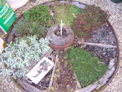 Wagon wheel herb garden.